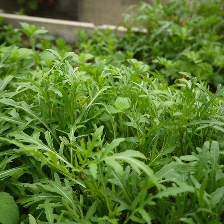 伊豆高原Alcyon度假酒店 伊东 外观 照片